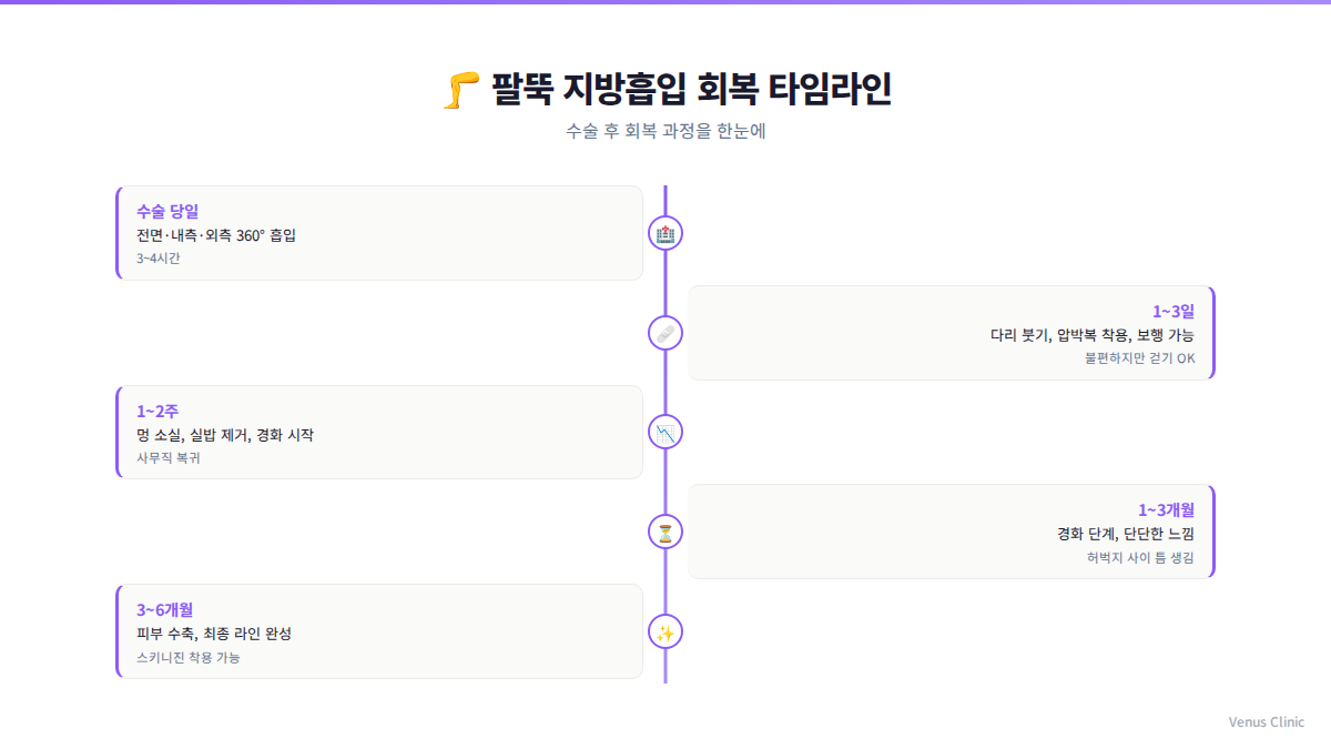팔뚝 지방흡입 회복 타임라인 인포그래픽 — 수술 당일부터 3개월까지 단계별 회복 과정