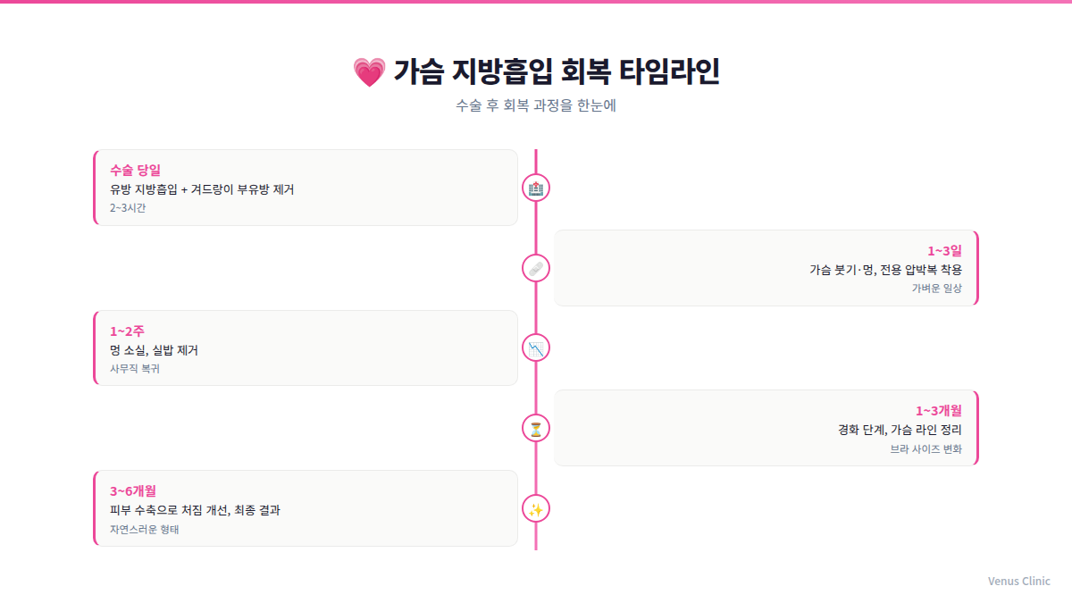 가슴축소 지방흡입 회복 타임라인 인포그래픽 — 수술 당일부터 6개월