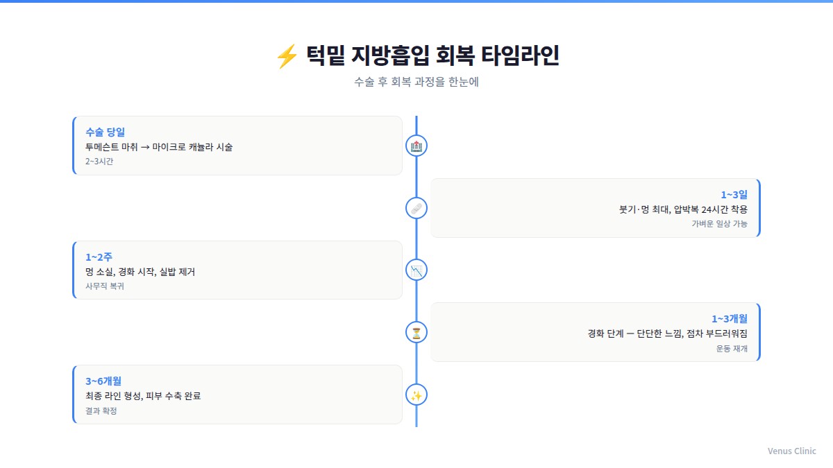 턱밑 지방흡입 회복 타임라인 인포그래픽