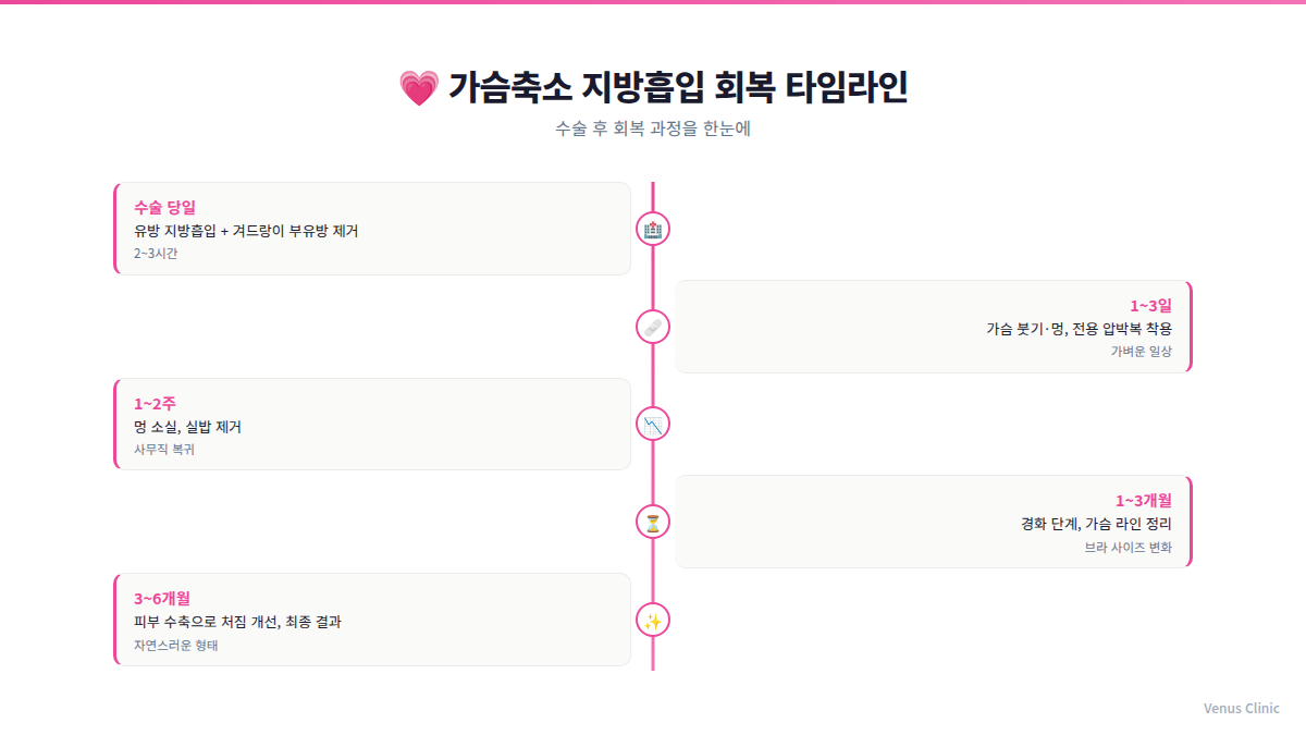 가슴축소 지방흡입 회복 타임라인 인포그래픽