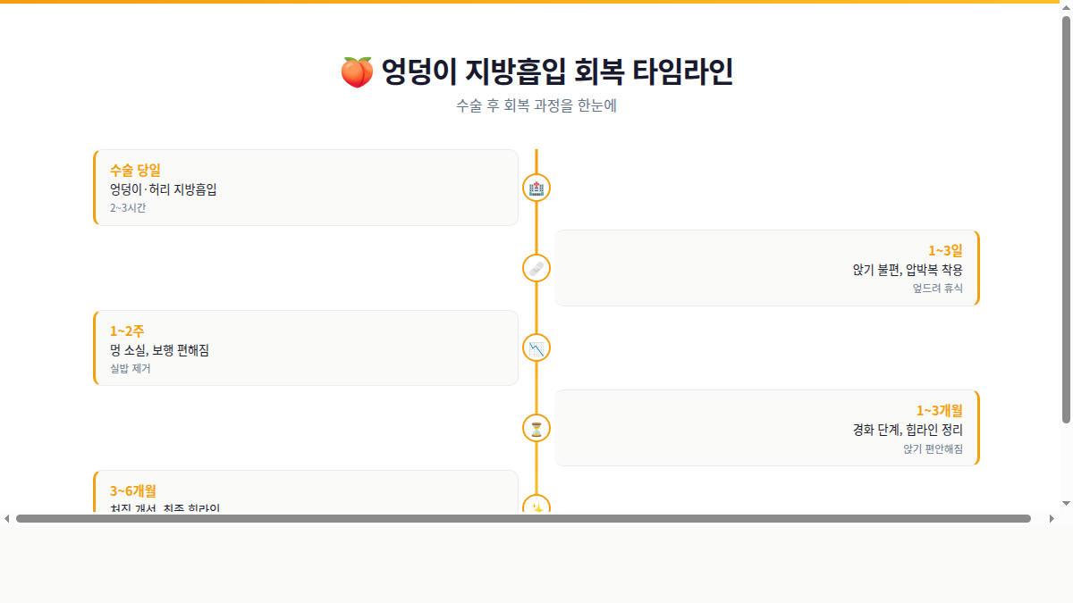 엉덩이 지방흡입 회복 타임라인 인포그래픽