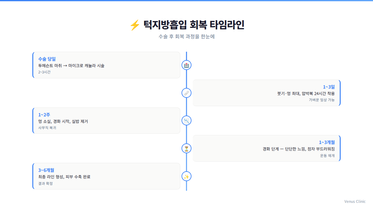 턱지방흡입 회복 타임라인 인포그래픽