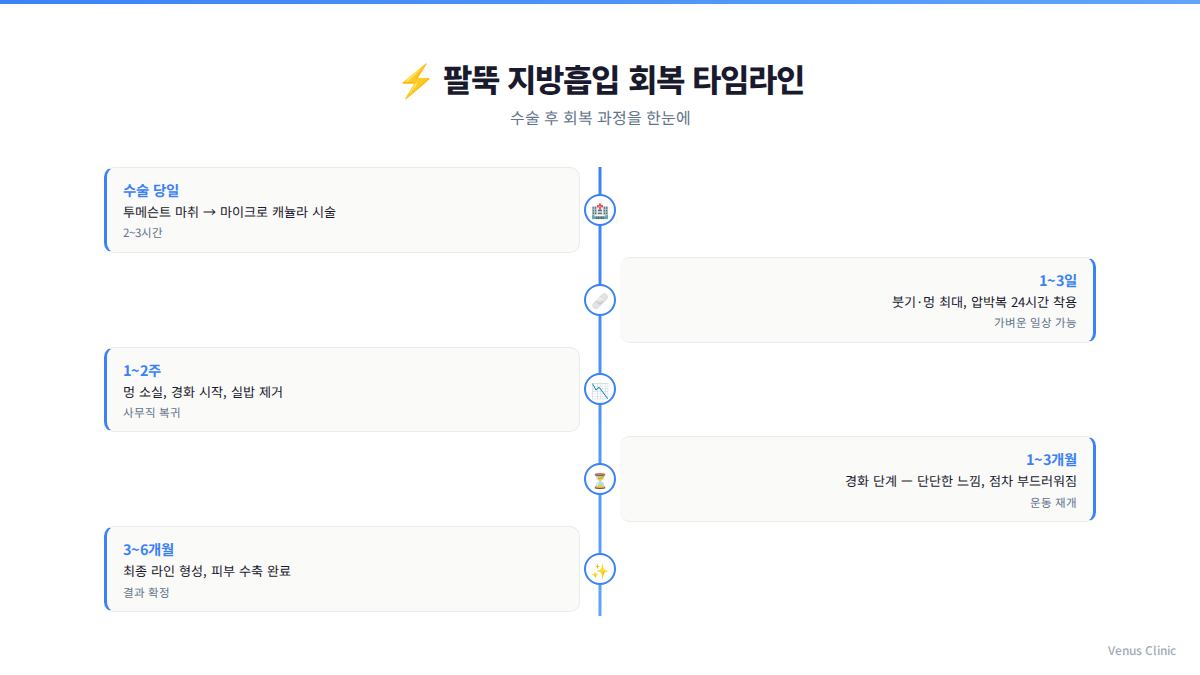 팔뚝 지방흡입 회복 타임라인 인포그래픽