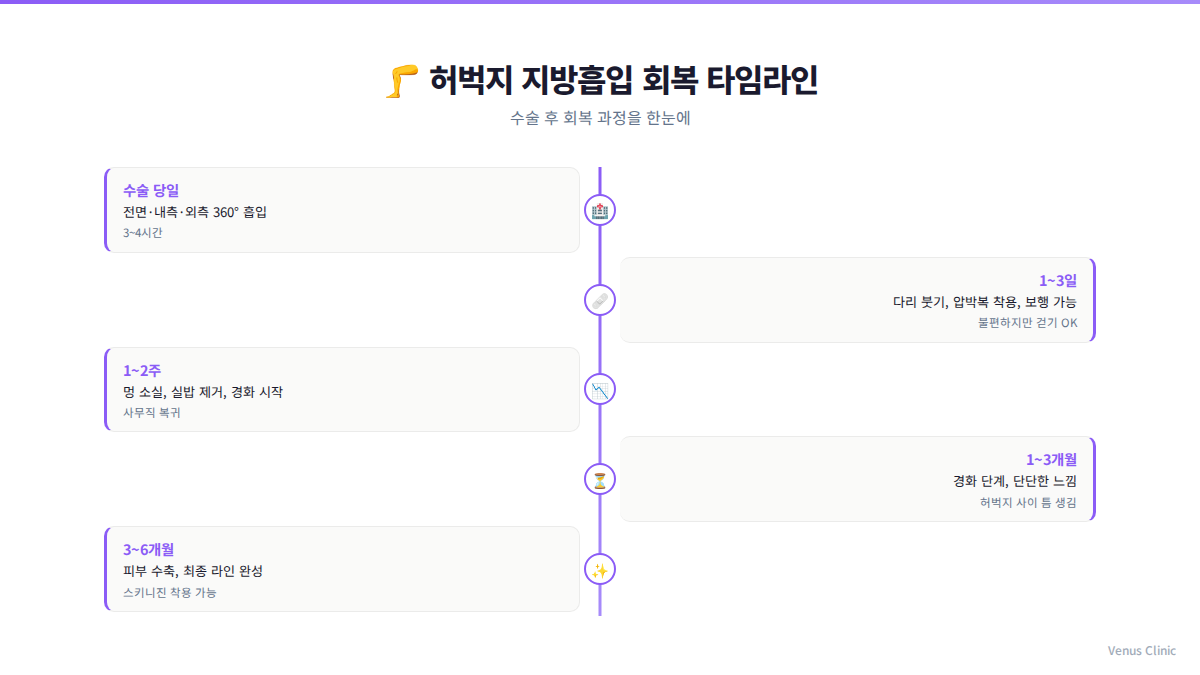 허벅지 지방흡입 회복 타임라인 인포그래픽 — 수술 당일부터 6개월까지