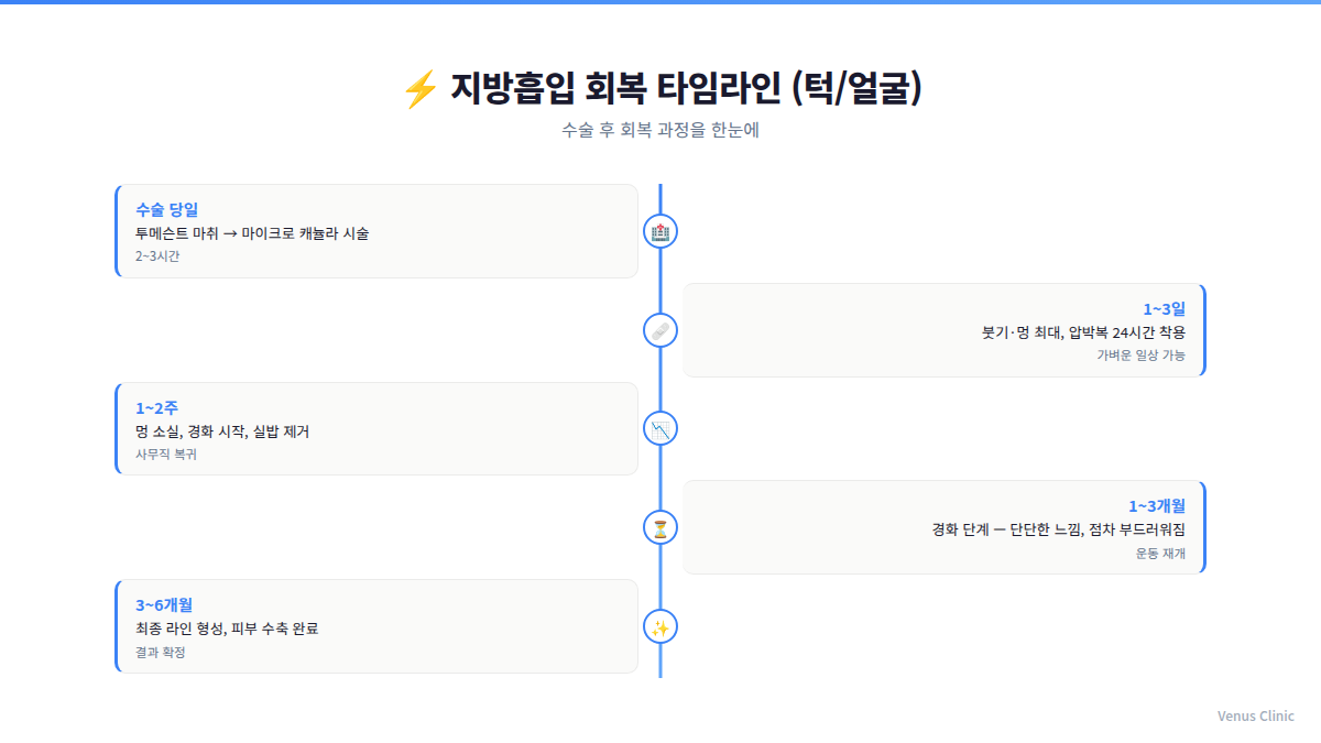 지방흡입 회복 타임라인 인포그래픽 — 수술 당일부터 6개월까지 경과