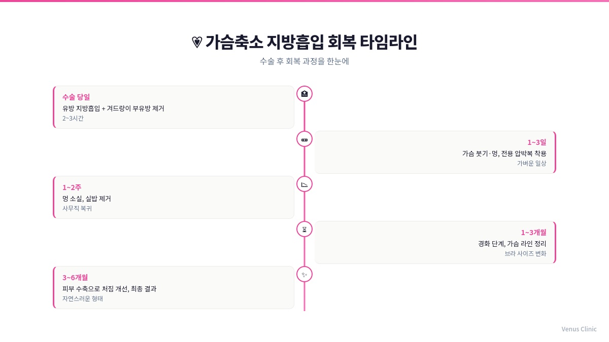 가슴축소 지방흡입 회복 타임라인 인포그래픽 비너스의원 부천