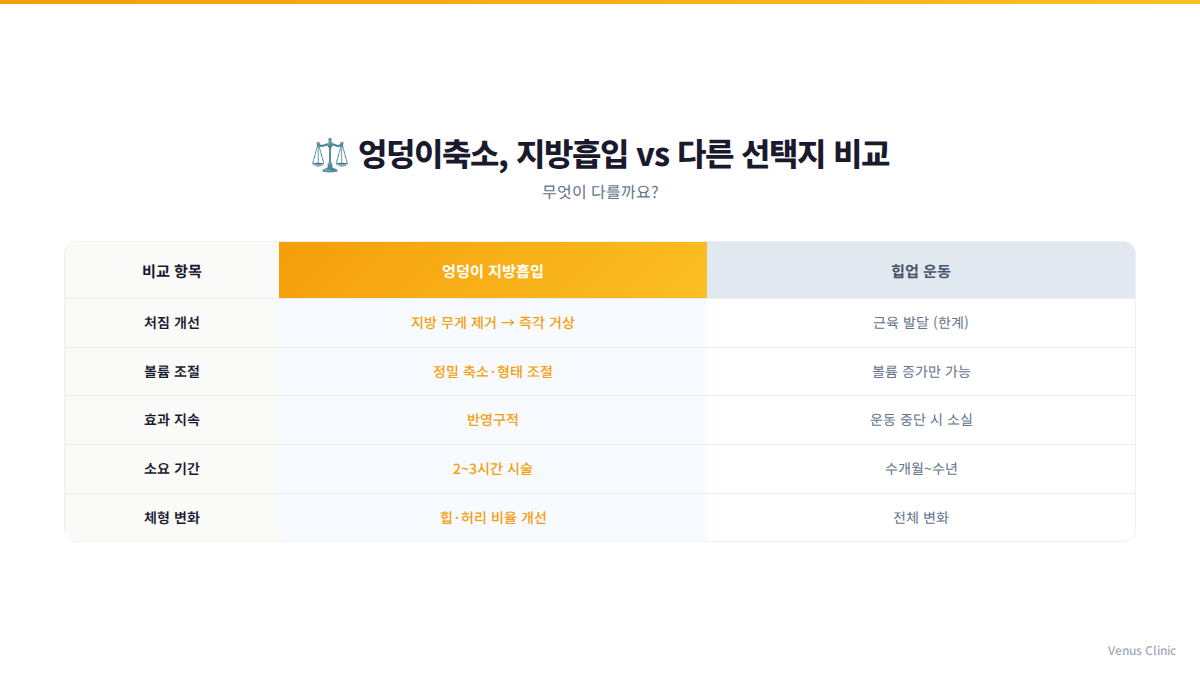 엉덩이축소 지방흡입과 힙업 운동의 구조적 차이 비교 인포그래픽