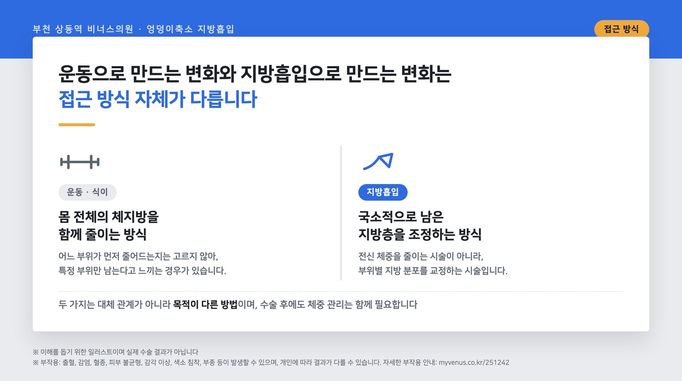 운동과 지방흡입의 차이를 비교한 인포그래픽