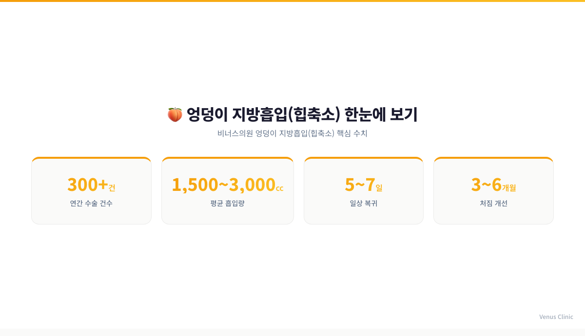 엉덩이 지방흡입 핵심 수치 인포그래픽 - 연간 수술 건수, 평균 흡입량, 일상 복귀 기간