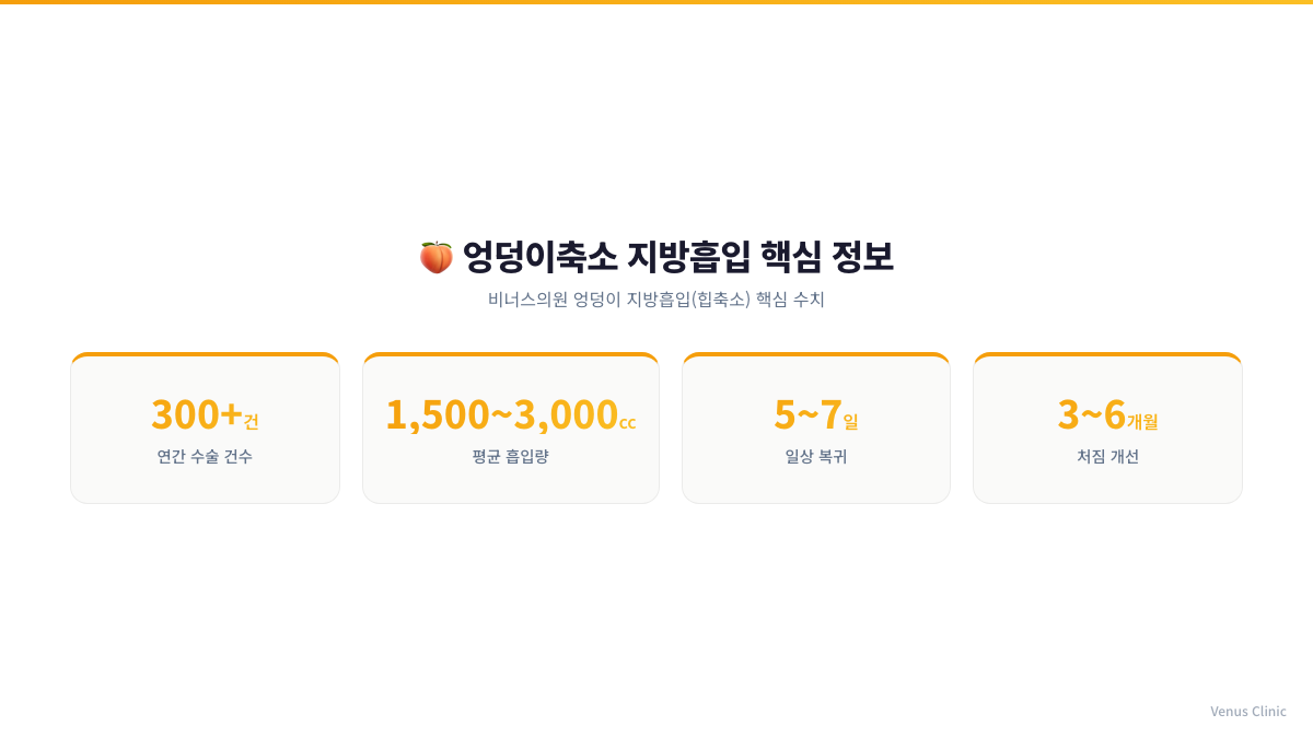엉덩이축소 지방흡입 핵심 정보 인포그래픽