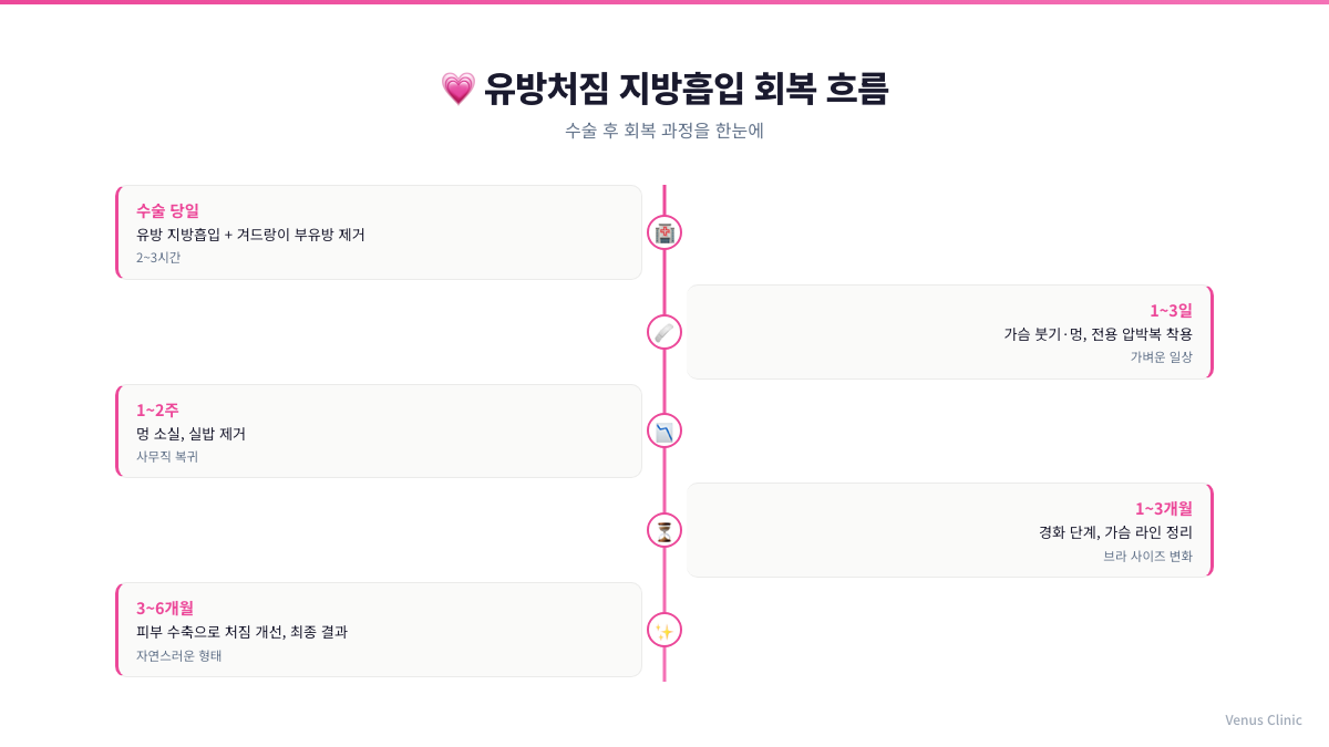 유방처짐 지방흡입 회복 흐름 인포그래픽