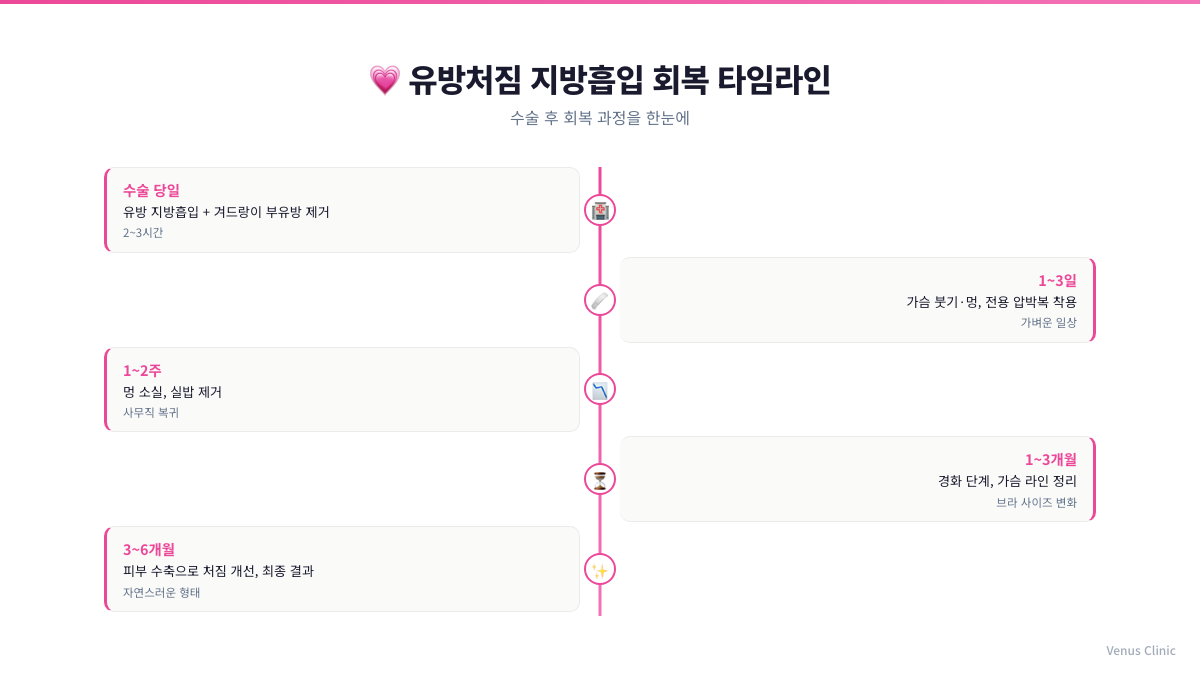 유방처짐 지방흡입 회복 타임라인 인포그래픽
