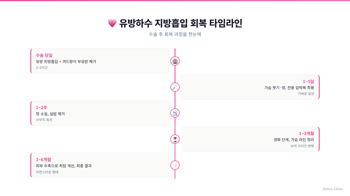 유방하수 지방흡입 회복 타임라인 인포그래픽 — 수술 당일부터 3~6개월까지