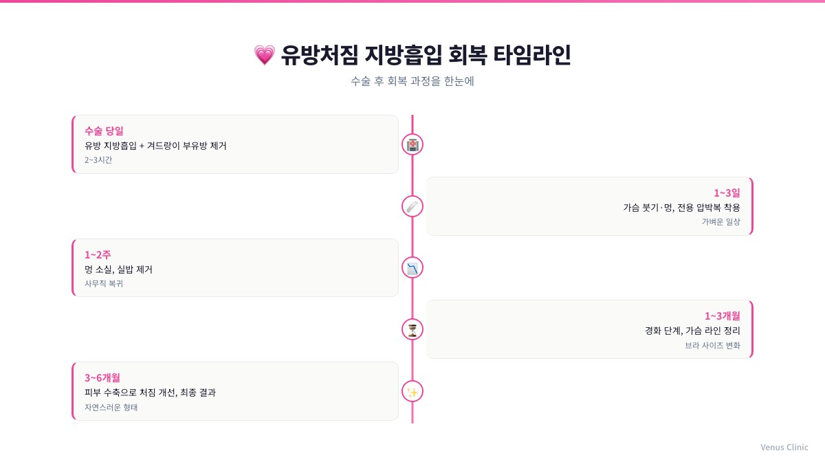 유방처짐 지방흡입 회복 타임라인