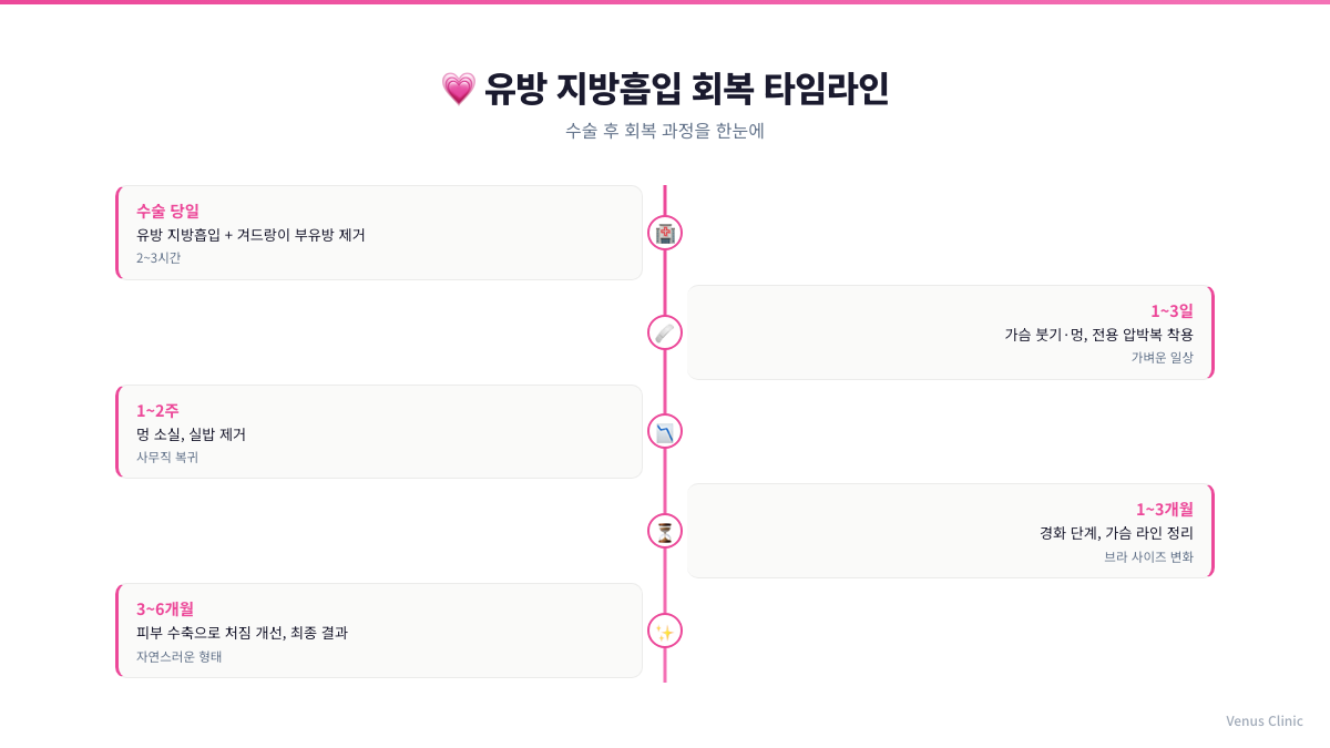 유방 지방흡입 수술 후 회복 타임라인 인포그래픽 (수술 당일부터 3~6개월까지)