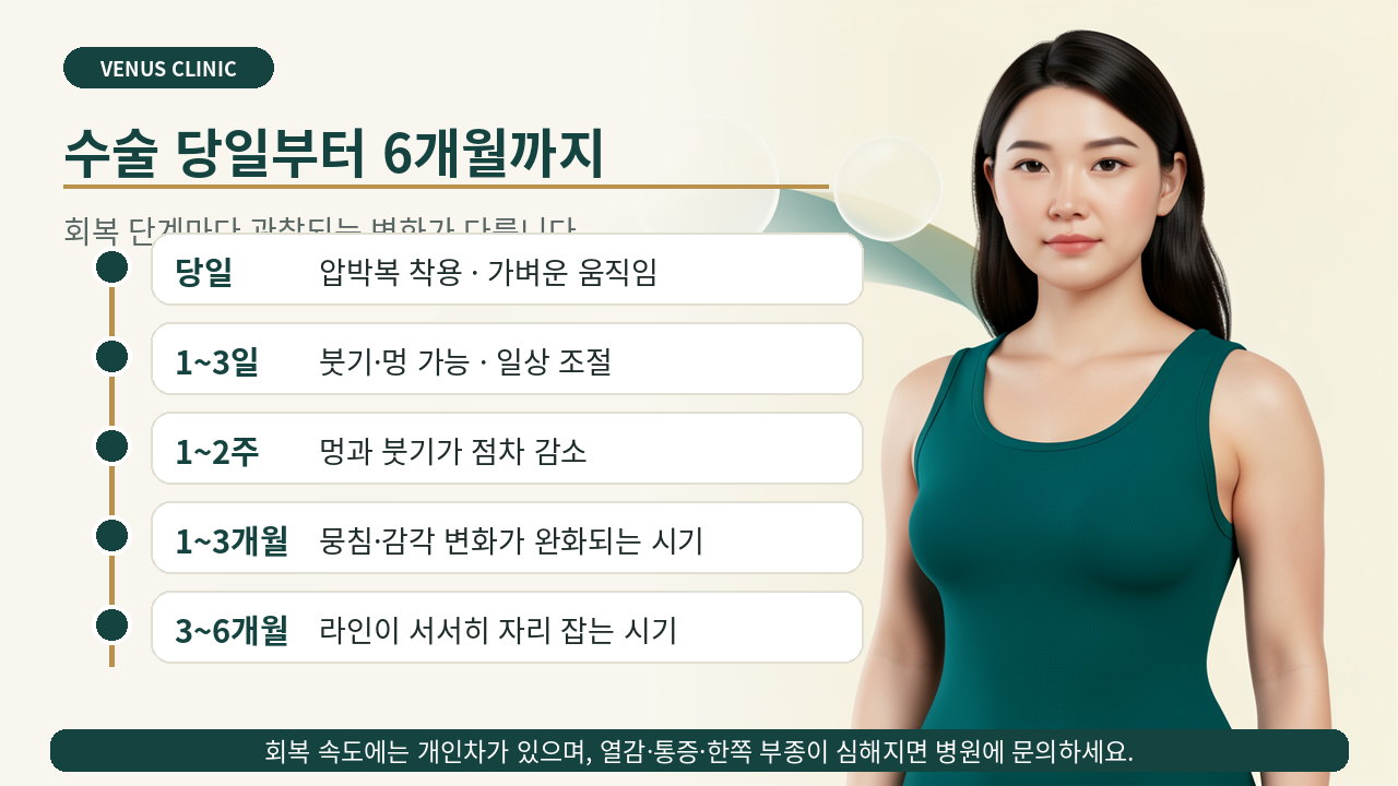 유방 지방흡입 수술 당일부터 6개월까지 회복 과정을 보여주는 타임라인